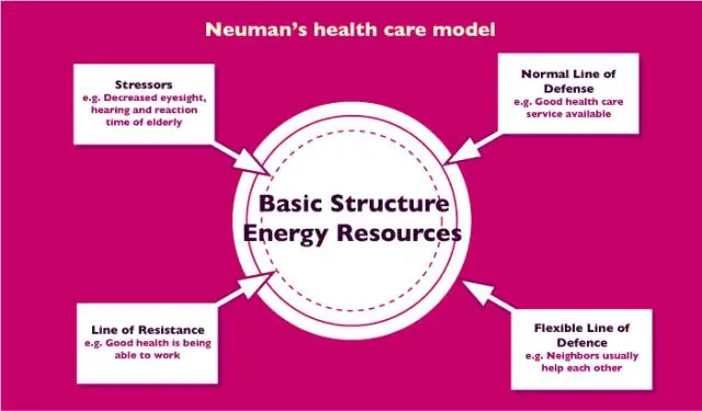 La théorie de Betty Neuman est-elle une grande théorie ?