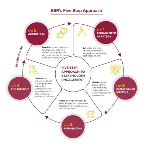 Wer sind die Stakeholder einer Organisation und warum sind sie wichtig?