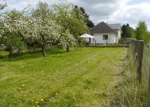 Posso dirigir sobre um campo séptico?