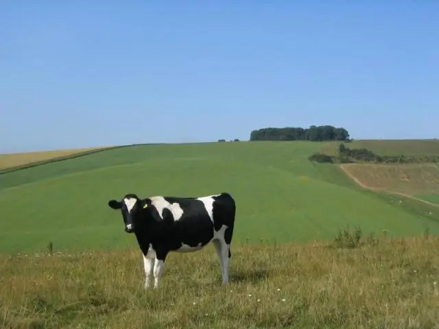 Može li službenik za provođenje zakona ući u privatno vlasništvo?