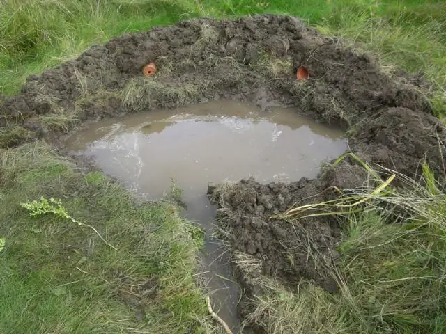 Hoe beïnvloedt erosie de toestand van de bodem?