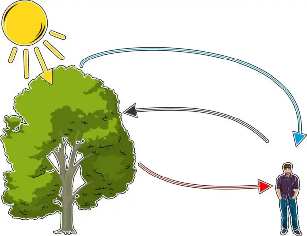 Bagaimana sistem ubiquitin bekerja dalam sel?