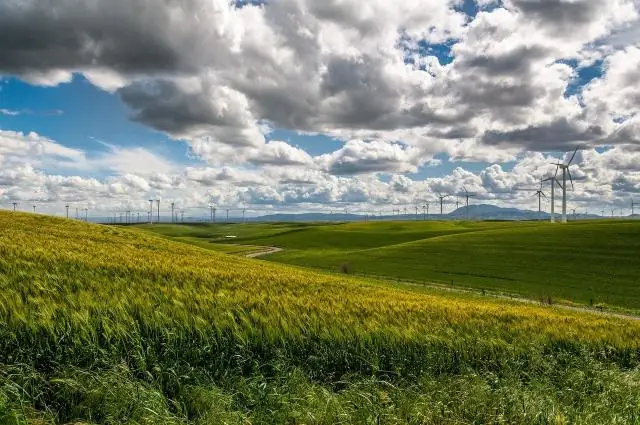 Ar sąlyginio deponavimo sąskaita yra tokia pati kaip patikėjimo sąskaita?