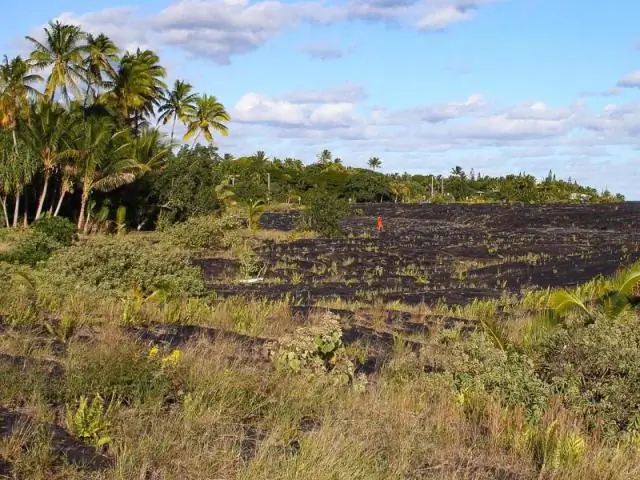 Maskapai penerbangan apa yang terbang dari pulau ke pulau di Hawaii?