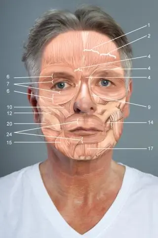 Wie kommunizieren Menschen in Verhandlungen?