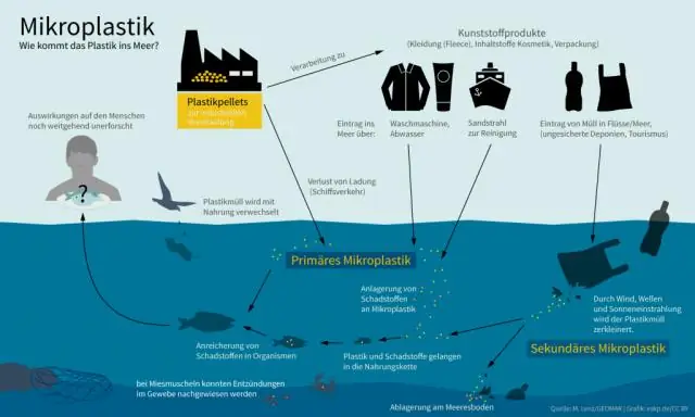 Какое значение имеет пищевая цепочка в экосистеме?