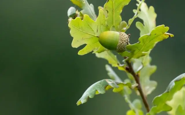 ঝুঁকি এবং মান ব্যবস্থাপনার কিছু চ্যালেঞ্জ কি কি?