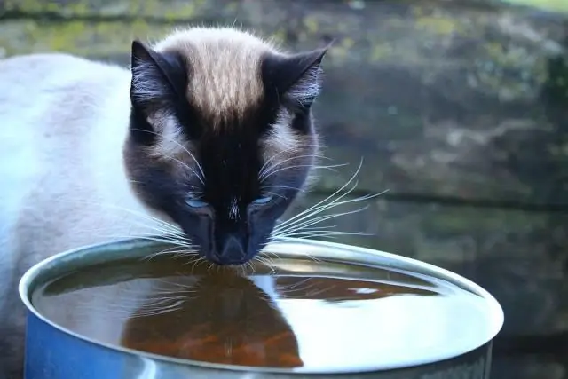 Zakaj ima moje stranišče dva splakovalnika?