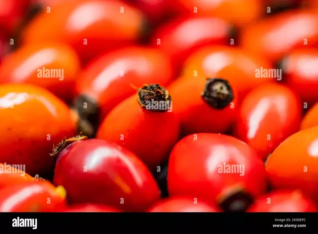 Qual é a diferença entre Fructus Naturales e Fructus Industriales?